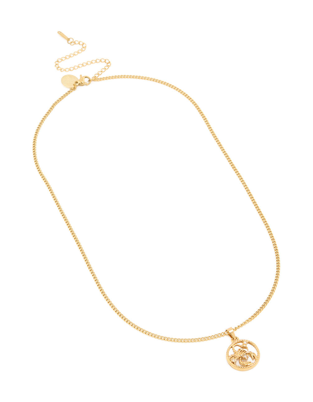 Waterproof Gold Plated Stainless Steel Circle Scorpio Zodiac Sign Necklace