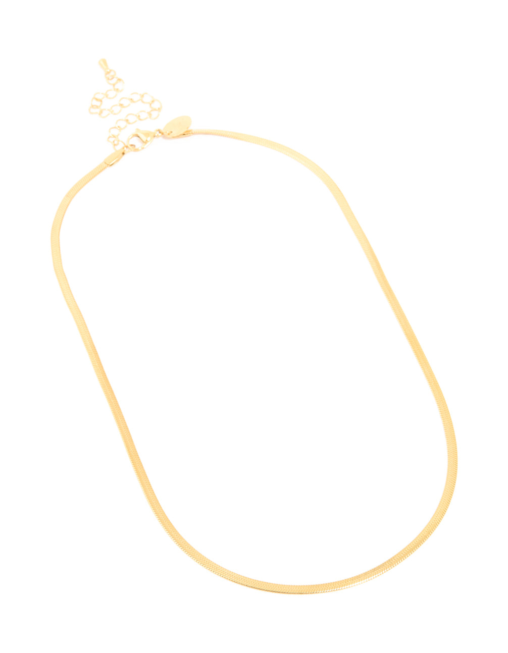 Designed with a waterproof gold plated stainless steel fine flat snake chain necklace and adjustable clasp front view