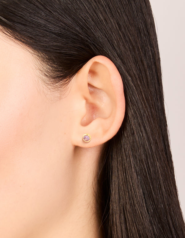 Waterproof Gold Plated Stainless Steel Cubic Zirconia February Birthstone Bezel Set Stud Earrings
