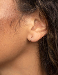 Rose Gold Plated Surgical Steel Sleeper Hoop Earrings - link has visual effect only