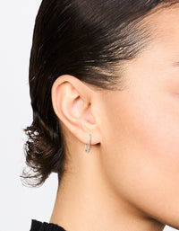 Surgical Steel Medium Sleeper Earrings 12 mm - link has visual effect only