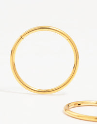 Gold Plated Surgical Steel Sleeper Earrings - link has visual effect only