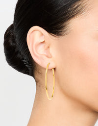 Gold Plated Surgical Steel Hoop Earrings 50 MM - link has visual effect only