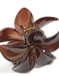 Brown Solid Claw Clip - link has visual effect only