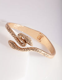Gold Snake Wrap Arm Cuff - link has visual effect only