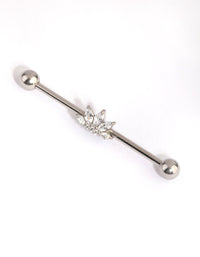 Surgical Steel Crystal Industrial Bar - link has visual effect only