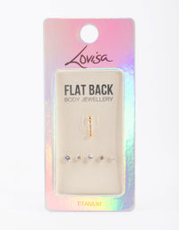 Gold Plated Titanium Flat Back 6-Pack - link has visual effect only